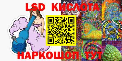 стафф Кандалакша