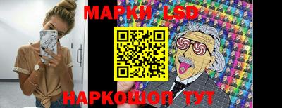 мдпв Новозыбков