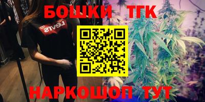 стафф Кандалакша
