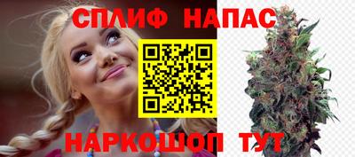 стафф Кандалакша