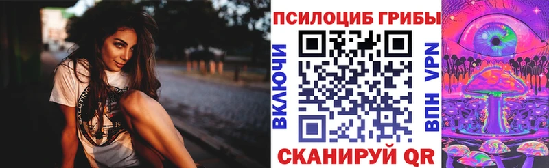 Псилоцибиновые грибы Cubensis  Татарск 