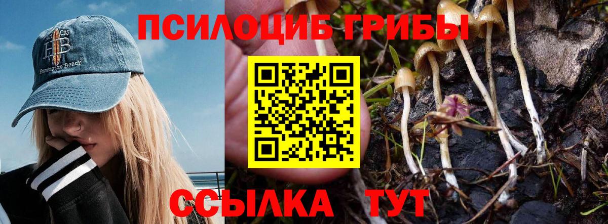 Псилоцибиновые грибы MAGIC MUSHROOMS Татарск