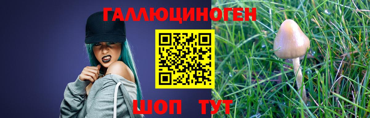 Татарск  Галлюциногенные грибы Psilocybe  Вход с VPN 